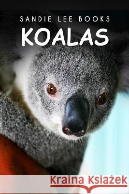 Koalas - Sandie Lee Books Sandie Lee Books 9781495209901 Createspace - książka