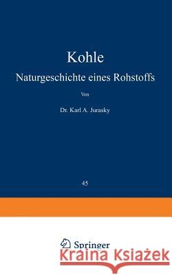 Kohle: Naturgeschichte Eines Rohstoffs Jurasky, Karl a. 9783642985218 Springer - książka