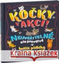 Kočky v akci! Kimberlie Hamiltonová 9788088276562 Presco Group - książka