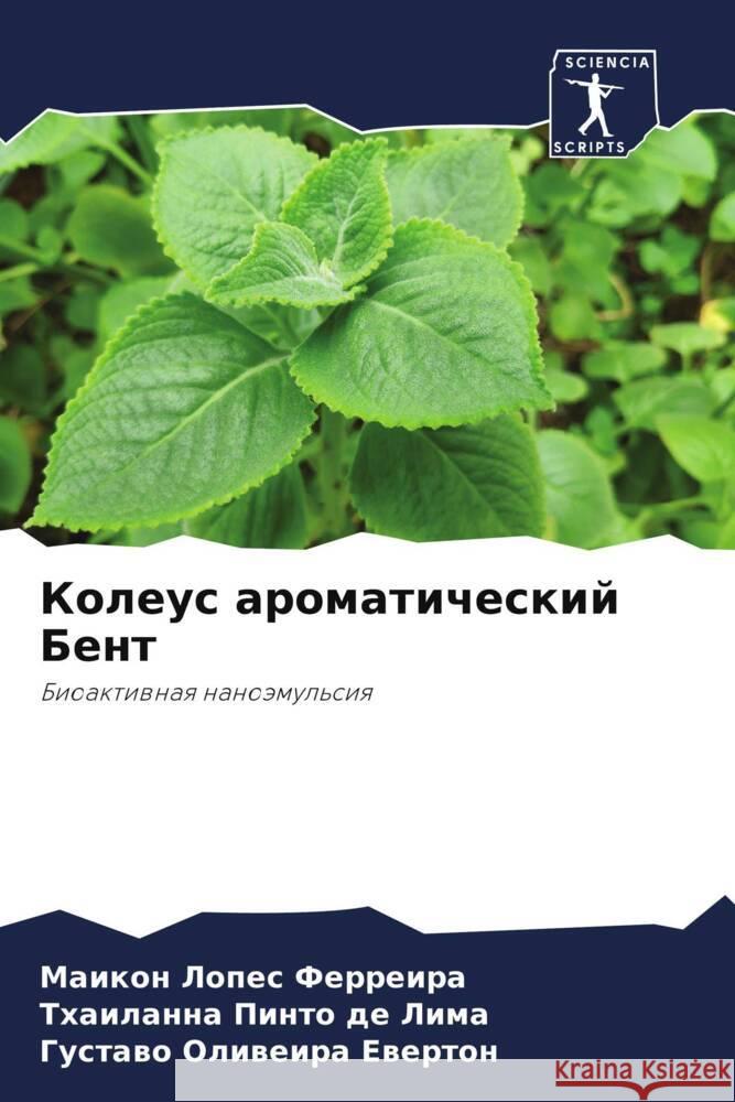 Koleus aromaticheskij Bent Ferreira, Maikon Lopes, de Lima, Thailanna Pinto, Ewerton, Gustawo Oliweira 9786204504568 Sciencia Scripts - książka