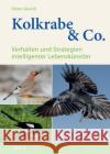 Kolkrabe & Co. : Verhalten und Strategien intelligenter Lebenskünstler Glandt, Dieter 9783891047859 Aula