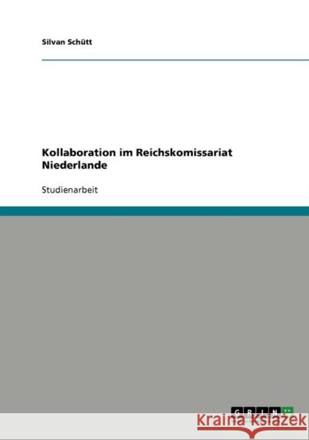 Kollaboration im Reichskomissariat Niederlande Silvan Sc 9783640715428 Grin Verlag - książka