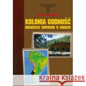 Kolonia godność WITKOWSKI IGOR 9788394787981 WIS 2 - książka