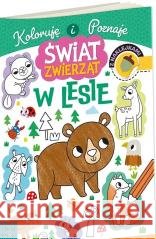 Kolorowanka a4 świat zwierząt - w lesie Agnieszka Matz 9788368335361 Henry - książka