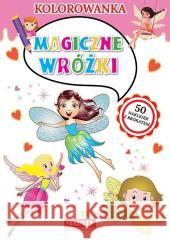 Kolorowanka. Magiczne wróżki Ratajszczak Katarzyna Gdula Adam 9788365944382 Martel - książka