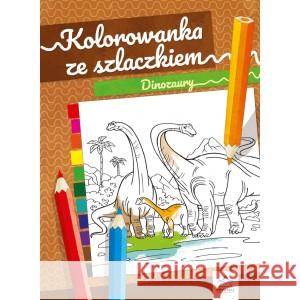 Kolorowanka ze szlaczkiem. Dinozaury LOGVANOVA NATALIA 9788366164758 PRYZMAT - książka