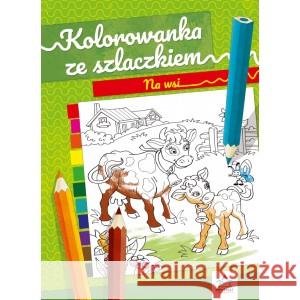 Kolorowanka ze szlaczkiem. Na wsi LOGVANOVA NATALIA 9788366164727 PRYZMAT - książka