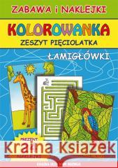 Kolorowanka. Zeszyt pięciolatka. Łamigłówki Beata Guzowska 9788382601176 LITERAT - książka