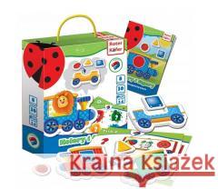 Kolory i figury magnetyczne  4820195560303 Roter Kafer - książka