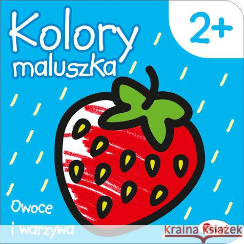 Kolory maluszka Owoce i warzywa Kozera Piotr 9788380362710 Morex GM - książka