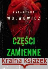 Komisarz Olga Balicka T.6 Części zamienne Katarzyna Wolwowicz 9788381325615 Zwierciadło - książka