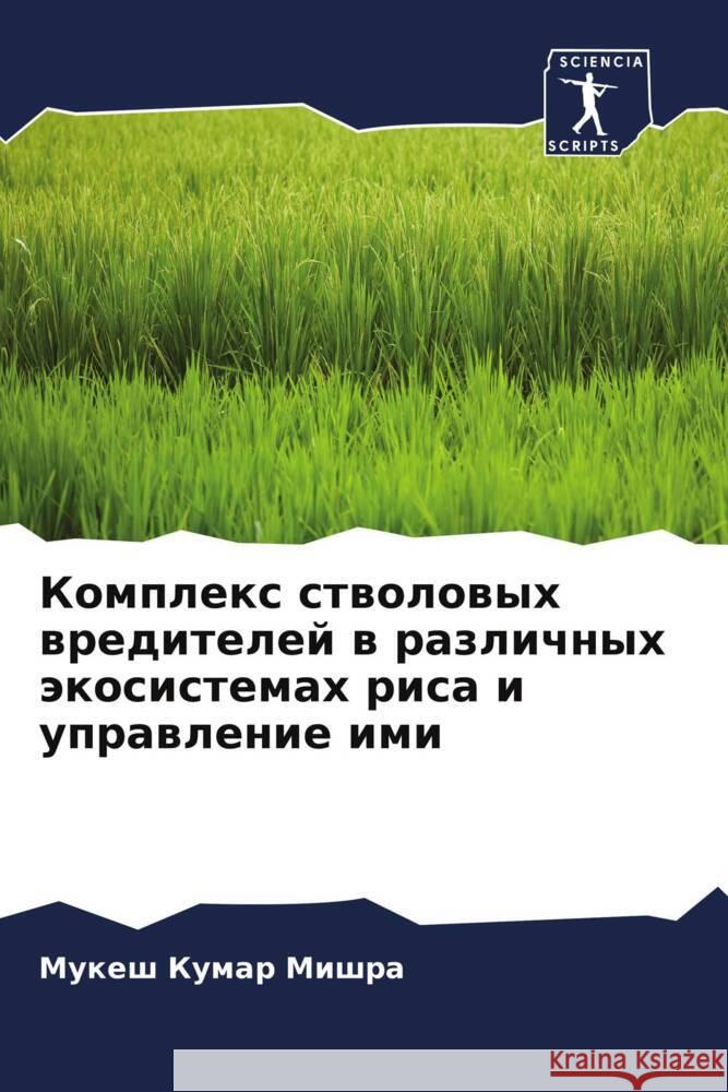 Komplex stwolowyh wreditelej w razlichnyh äkosistemah risa i uprawlenie imi Mishra, Mukesh Kumar 9786205201688 Sciencia Scripts - książka