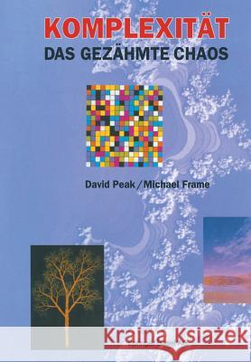 Komplexität -- Das Gezähmte Chaos Peak, David 9783034863759 Birkhauser - książka