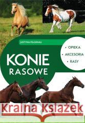 Konie rasowe Justyna Felgenau 9788383481975 SBM - książka