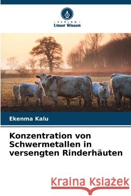Konzentration von Schwermetallen in versengten Rinderhäuten Kalu, Ekenma 9786209345333 Verlag Unser Wissen - książka