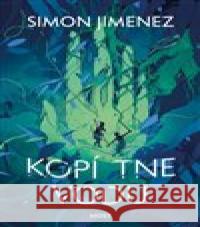 Kopí protne vodu Simon Jimenez 9788027518647 Host - książka