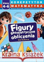 Korepetytor 4-6. Figury Mateusz Glasenapp, Roksana Walkowicz-Grajper 9788379128358 Demart - książka