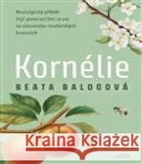 Kornélie Beáta Balogová 9788076896635 Jota - książka