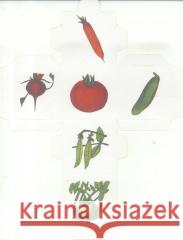 Kostka sześcienna - utrwalanie głoski R Antoni Bajejko 5902490408487 Logopedyczne Antoni Balejko - książka