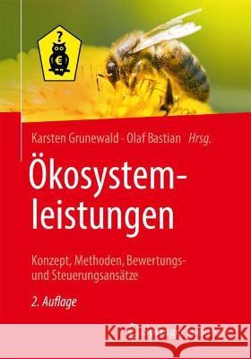 Ökosystemleistungen: Konzept, Methoden, Bewertungs- Und Steuerungsansätze Grunewald, Karsten 9783662659151 Springer Spektrum - książka