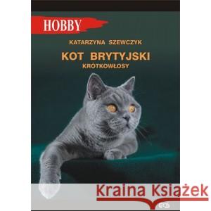 Kot brytyjski krótkowłosy SZEWCZYK KATARZYNA 9788365925282 EGROS - książka