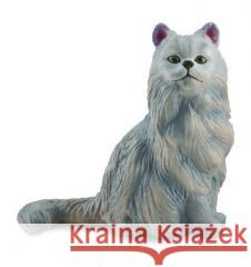 Kot perski siedzący  4892900883298 Collecta - książka