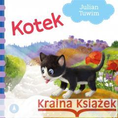 Kotek Julian Tuwim 9788382077209 Skrzat - książka