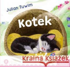 Kotek Julian Tuwim 9788382077254 Skrzat - książka