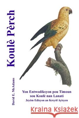 Koul? P?rch: Yon Entwodiksyon pou Timoun sou Koul? nan Lanati David E. McAdams 9781632706324 Life Is a Story Problem LLC - książka