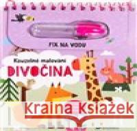 Kouzelné malování Divočina  9788025638002 Svojtka & Co. - książka