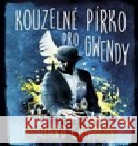 Kouzelné pírko pro Gwendy Richard  Chizmar 9788075933560 BETA Dobrovský - książka