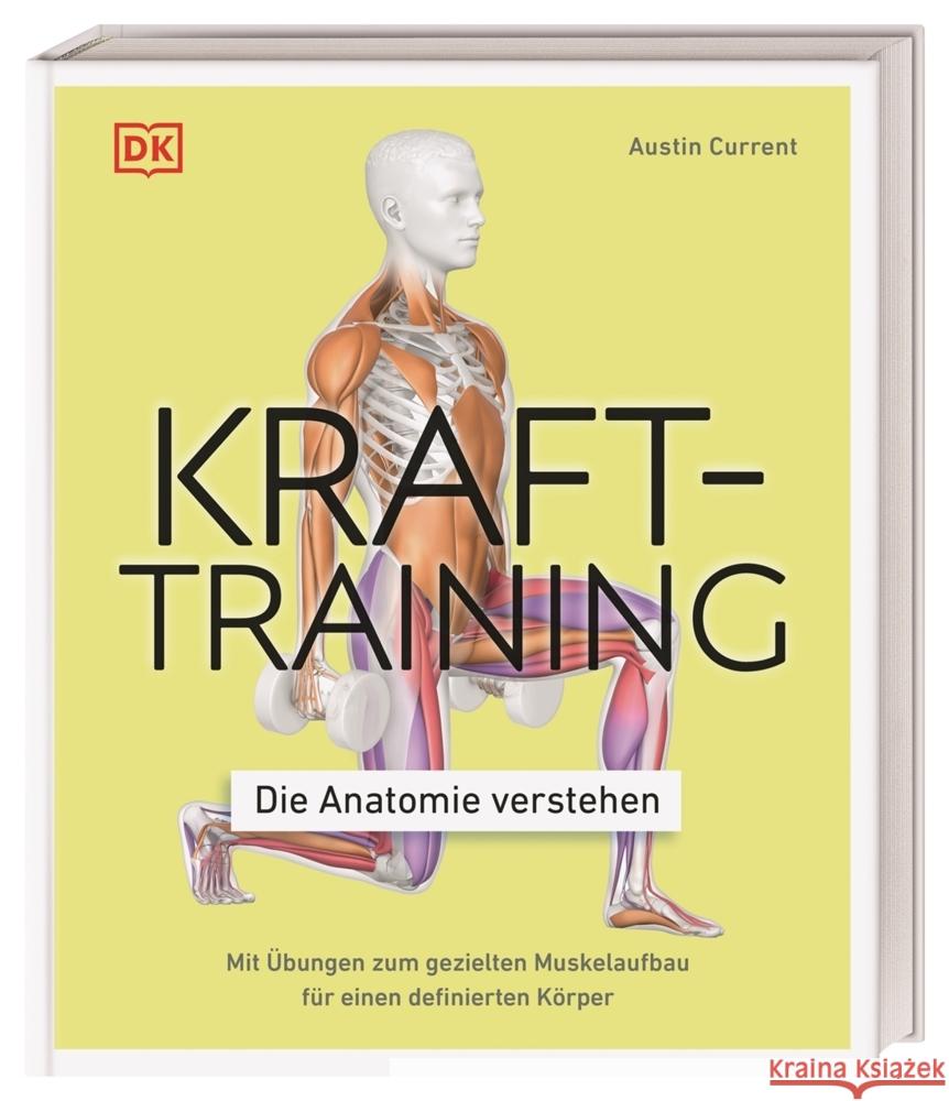 Krafttraining - Die Anatomie verstehen Current, Austin 9783831042760 Dorling Kindersley Verlag - książka