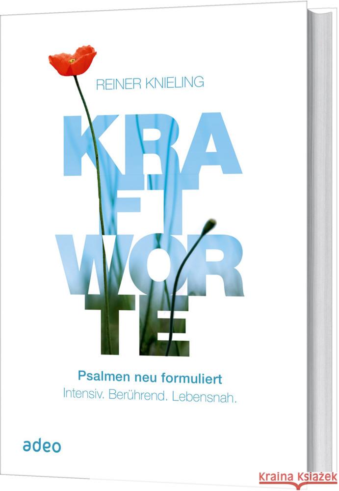 Kraftworte Knieling, Reiner 9783863342937 adeo - książka