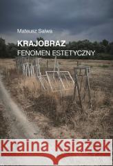 Krajobraz. Fenomen estetyczny Mateusz Salwa 9788366511408 Przypis - książka