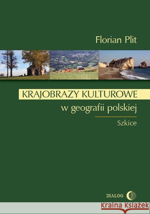 Krajobrazy kulturowe w geografii polskiej Plit Florian 9788380024151 Dialog - książka