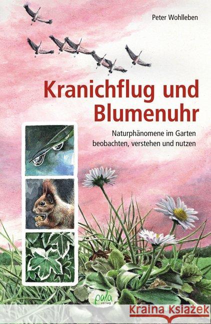 Kranichflug und Blumenuhr : Naturphänomene im Garten beobachten, verstehen und nutzen Wohlleben, Peter 9783895663840 Pala-Verlag - książka