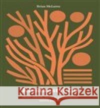 Křesťanství 2.0 Brian McLaren 9788088642145 Biblion - książka