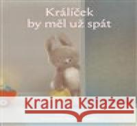 Králíček by měl už spát Renata  Liwska 9788027522026 Host - książka