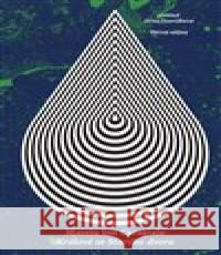 Králové ze Starého dvora Ion Mateiu Caragiale 9788074435027 Větrné mlýny - książka