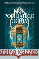 Król Popielatego Ognia Chalsea Abdullah 9788328737105 You&YA - książka
