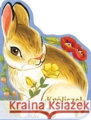 Króliczek Rosalee Wren 9788383158419 Olesiejuk Sp. z o.o. - książka