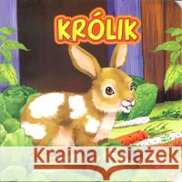 Królik JAFI Campbell Katarzyna 9788363502393 Jafi - książka