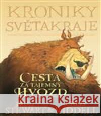 Kroniky Světakraje I. - Cesta za tajemný Hvozd Chris Riddell 9788025745656 Argo - książka