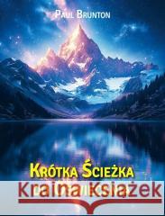 Krótka ścieżka do oświecenia Paul Brunton 9788368363005 Centrum - książka