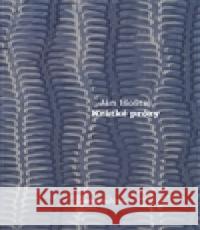 Krátké prózy KateÅ™ina WewiorovÃ¡ 9788074430619 VÄ›trnÃ© mlÃ½ny - książka