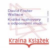 Krátké rozhovory s odpornými muži David Foster Wallace 9788087705650 RUBATO - książka