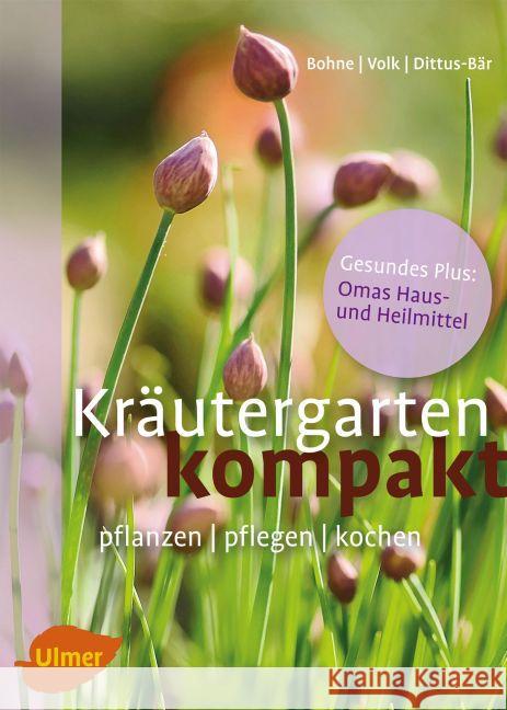 Kräutergarten kompakt : Pflanzen, pflegen, kochen. Gesundes Plus: Omas Haus- und Heilmittel Bohne, Burkhard; Volk, Fridhelm; Volk, Renate 9783800180950 Ulmer (Eugen) - książka