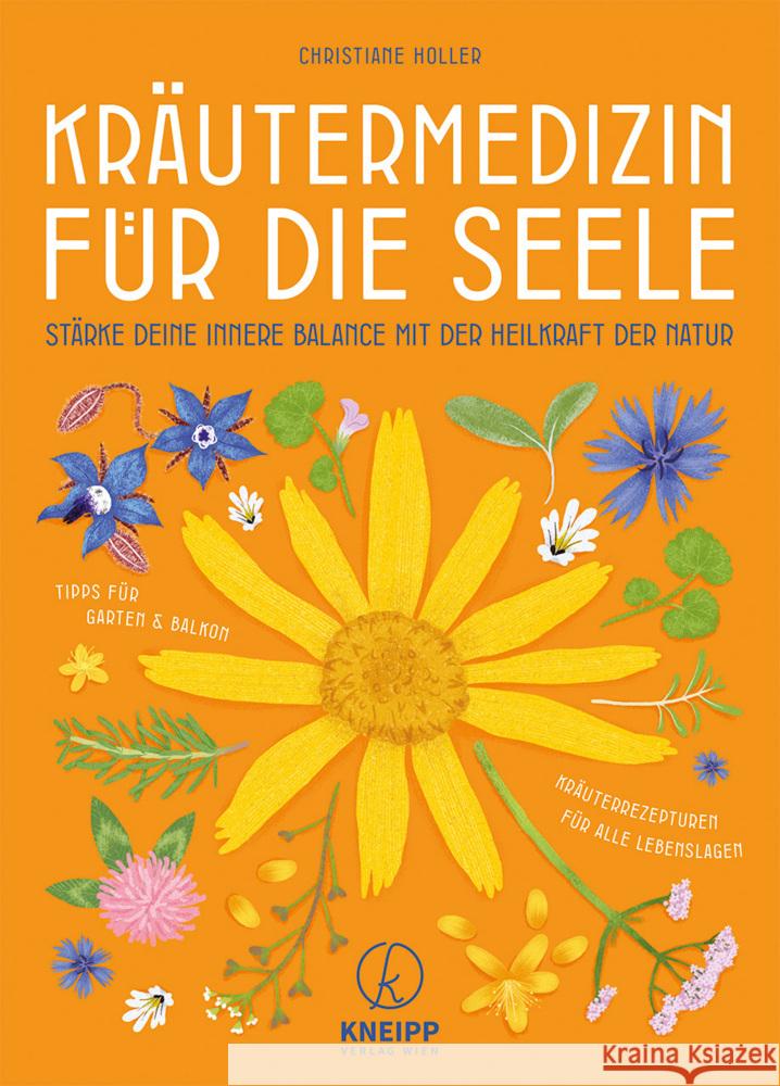 Kräutermedizin für die Seele Holler, Christiane 9783708808642 Kneipp, Wien - książka
