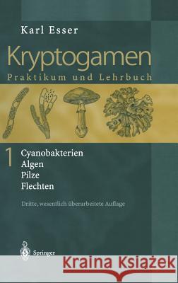 Kryptogamen 1: Cyanobakterien Algen Pilze Flechten Praktikum Und Lehrbuch Esser, Karl 9783540664512 Springer - książka