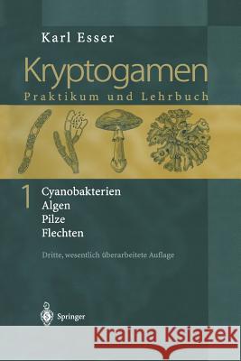 Kryptogamen 1: Cyanobakterien Algen Pilze Flechten Praktikum Und Lehrbuch Esser, Karl 9783642630569 Springer - książka